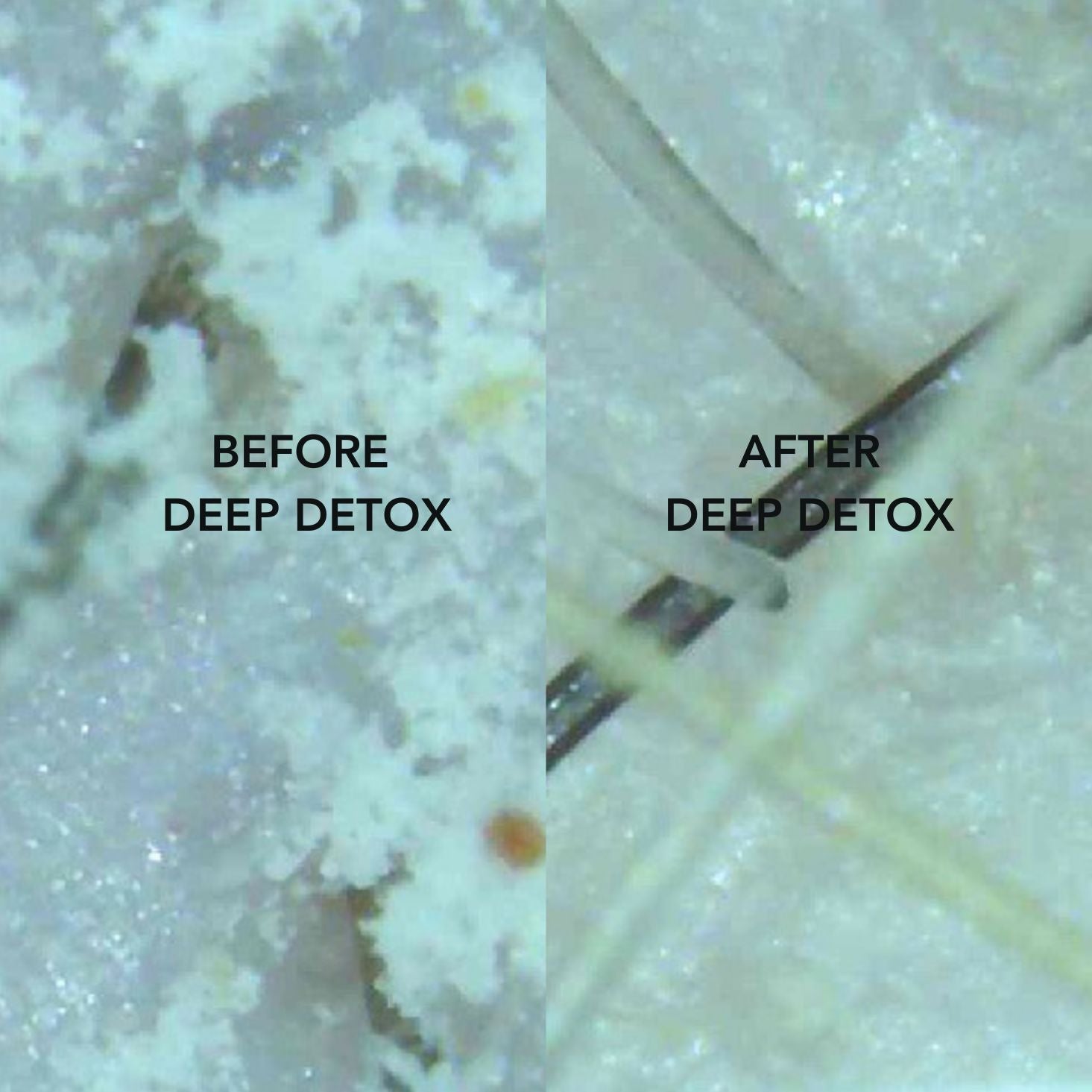 Detox_Before_After.jpg