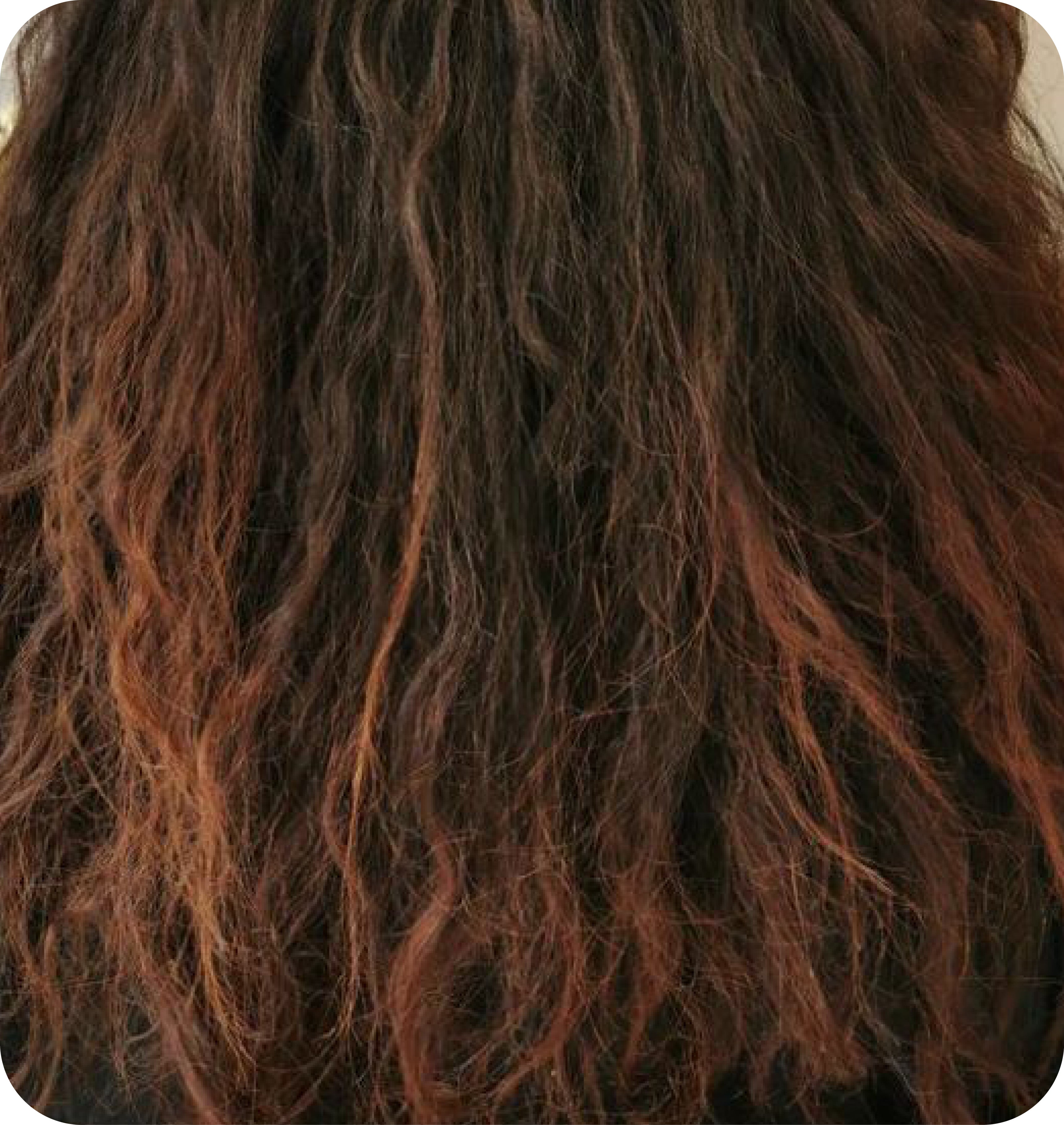 Why_Your_Hair_Stops_Responding.jpg