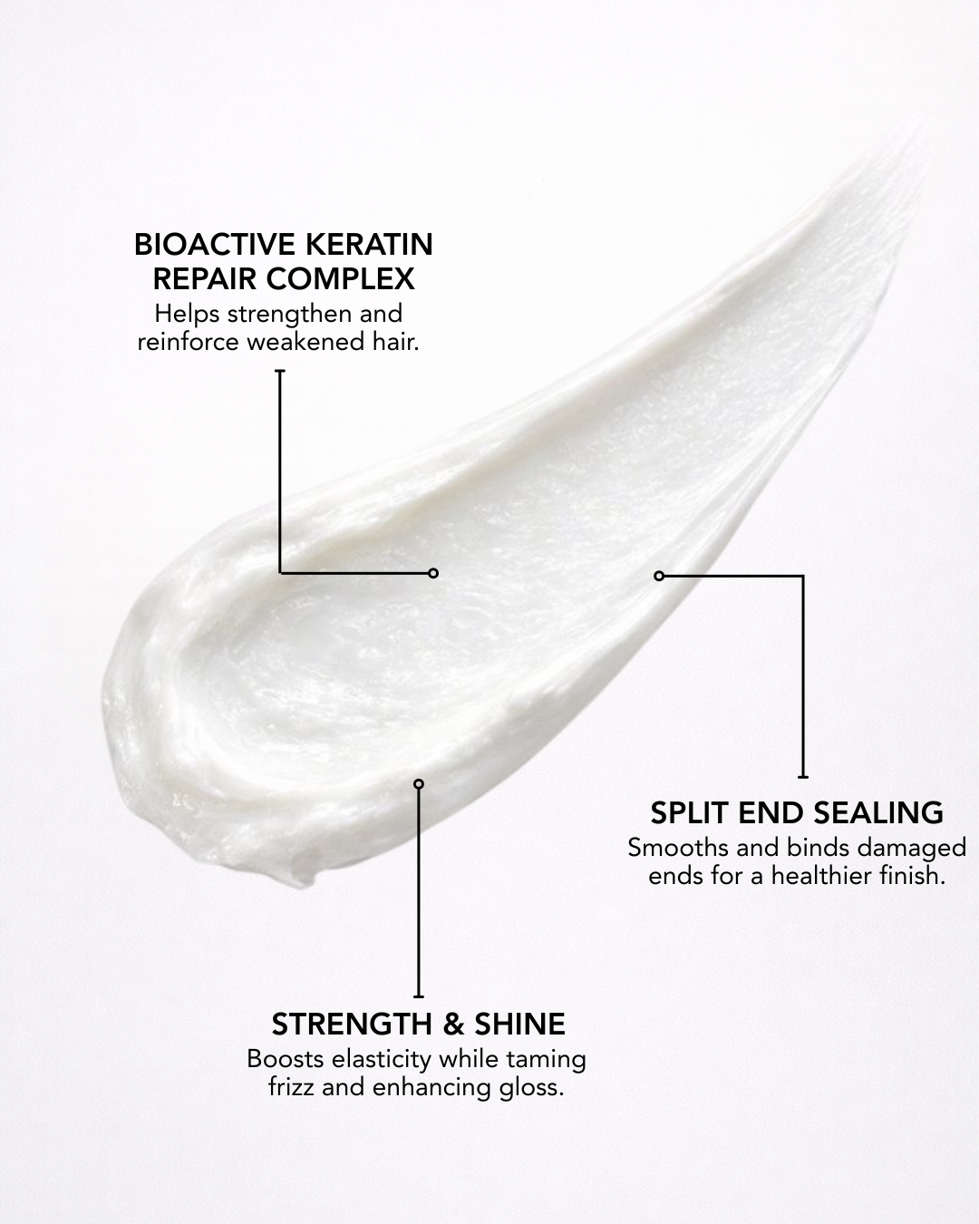 fresh_ends_e58329cc-7cd5-4a84-be87-784faccf8aff.png